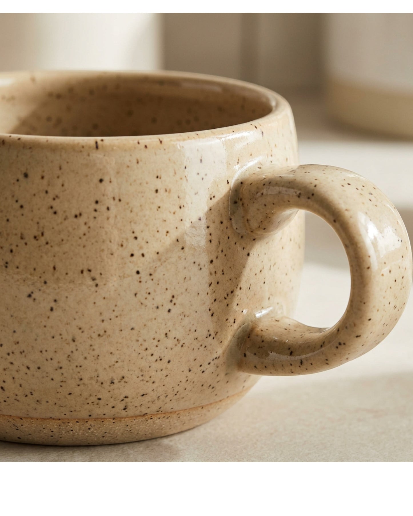 Wvkmb Speckled Ceramic Mug Oat 14 oz Wide Handle